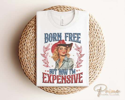 4th of July DTF Transfers, Ready to Press, T-shirt Transfers, Heat Transfer, Direct to Film, USA, Holiday, Independence, Western, Funny