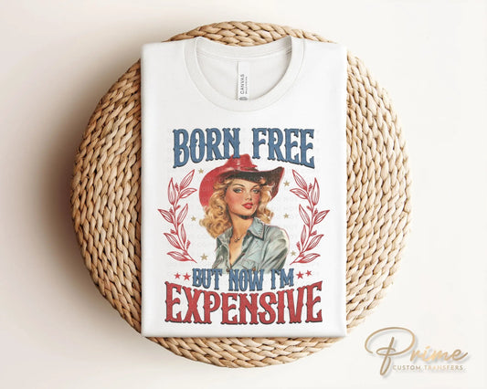 4th of July DTF Transfers, Ready to Press, T-shirt Transfers, Heat Transfer, Direct to Film, USA, Holiday, Independence, Western, Funny