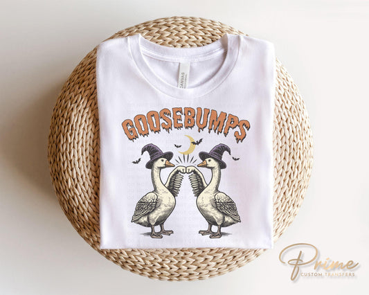 Halloween DTF Transfers, Ready to Press, T-shirt Transfers, Heat Transfer, Direct to Film, Fall, Autumn, Funny, Horror Movie, Goosebumps