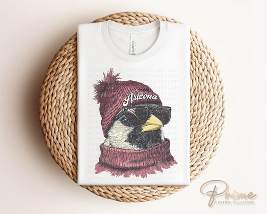 Football DTF Transfers, Ready to Press, T-shirt Transfers, Heat Transfer, Direct to Film, Sports, Sports Fan, Trendy, Arizona Football