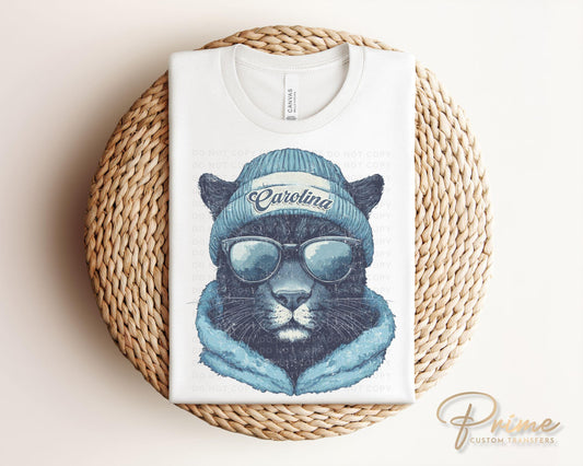 Football DTF Transfers, Ready to Press, T-shirt Transfers, Heat Transfer, Direct to Film, Sports, Sports Fan, Trendy, Carolina Football