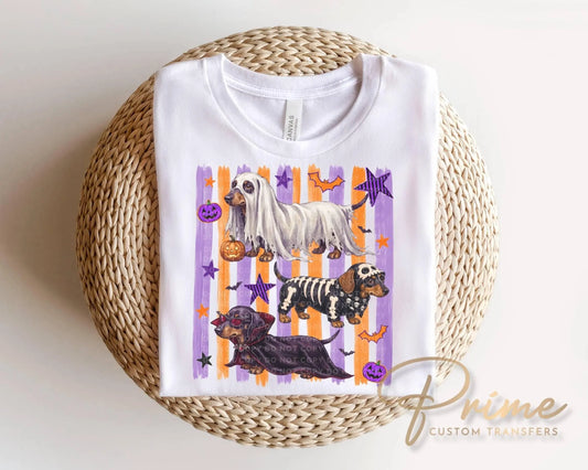 Halloween Dachshunds DTF Transfer, Ready to Press, Trendy Striped T-shirt Design