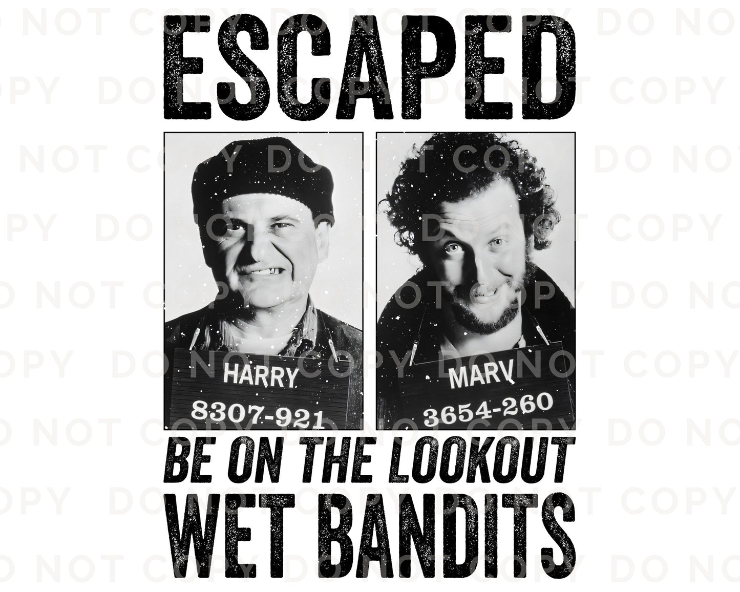 Home Alone Wet Bandits - DTF Transfer