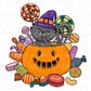 DTF Transfers, Ready to Press, T-shirt Transfers, Heat Transfer, Direct to Film, Custom Transfers, Halloween, Cute Cat in Pumpkin with Candy