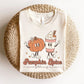 DTF Transfers, Ready to Press, T-shirt Transfers, Heat Transfer, Direct to Film, Fall dtf Transfers, Retro Pumpkin Spice and Everything Nice