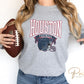 Football DTF Transfers, Ready to Press, T-shirt Transfers, Heat Transfer, Direct to Film, Sports, Full Color, Vintage, Houston Football