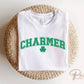 DTF Transfers, Ready to Press, T-shirt Transfers, Heat Transfer, Direct to Film, St Patrick’s Day, Mens, Clover, Shamrock, Charmer