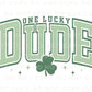 DTF Transfers, Ready to Press, T-shirt Transfers, Heat Transfer, Direct to Film, St Patrick’s Day, Shamrock, Clover, Boy, One Lucky Dude