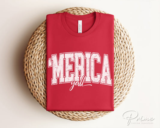 4th of July DTF Transfers, Ready to Press, T-shirt Transfers, Heat Transfer, Direct to Film, USA, Holiday, Independence, Merica Ya'll