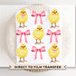 Easter DTF Transfers, Ready to Press, T-shirt Transfers, Heat Transfer, Direct to Film, Spring, Coquette, Sunday, Baby Chicks and Bows