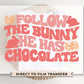 Easter DTF Transfers, Ready to Press, T-shirt Transfers, Heat Transfer, Direct to Film, Spring, Pastel, Follow The Bunny He Has Chocolate