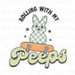 Easter DTF Transfers, Ready to Press, T-shirt Transfers, Heat Transfer, Direct to Film, Cold Peel, Boy, Skateboard, Rolling with My Peeps