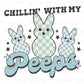Easter DTF Transfers, Ready to Press, T-shirt Transfers, Heat Transfer, Direct to Film, Cold Peel, Boy, Blue, Retro Chillin' with My Peeps