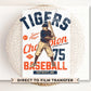 Baseball DTF Transfers, Ready to Press, T-shirt Transfers, Heat Transfer, Direct to Film, Sports, Summer, Vintage, Retro Detroit Michigan