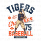 Baseball DTF Transfers, Ready to Press, T-shirt Transfers, Heat Transfer, Direct to Film, Sports, Summer, Vintage, Retro Detroit Michigan