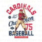 Baseball DTF Transfers, Ready to Press, T-shirt Transfers, Heat Transfer, Direct to Film, Sports, Summer, Vintage, St Louis Missouri
