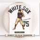 Baseball DTF Transfers, Ready to Press, T-shirt Transfers, Heat Transfer, Direct to Film, Sports, Summer, Chicago Illinois, Vintage, Retro