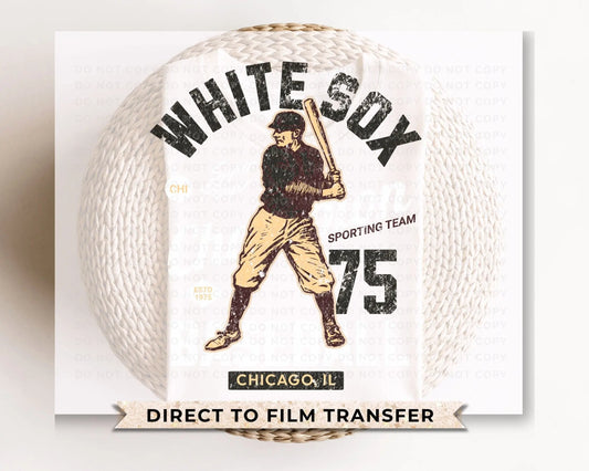 Baseball DTF Transfers, Ready to Press, T-shirt Transfers, Heat Transfer, Direct to Film, Sports, Summer, Chicago Illinois, Vintage, Retro