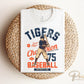 Baseball DTF Transfers, Ready to Press, T-shirt Transfers, Heat Transfer, Direct to Film, Sports, Summer, Vintage, Retro Detroit Michigan