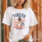 Baseball DTF Transfers, Ready to Press, T-shirt Transfers, Heat Transfer, Direct to Film, Sports, Summer, Vintage, Retro Detroit Michigan