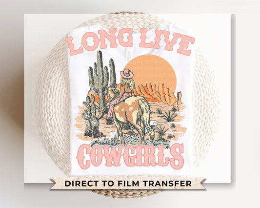 Western DTF Transfers, Ready to Press, T-shirt Transfers, Heat Transfer, Direct to Film, Aztec, Cactus, Western, Boho, Long Live Cowgirls