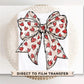Valentine DTF Transfers, Ready to Press, T-shirt Transfers, Heat Transfer, Direct to Film, Holiday, Love, Hand Drawn, Coquette Heart Bow