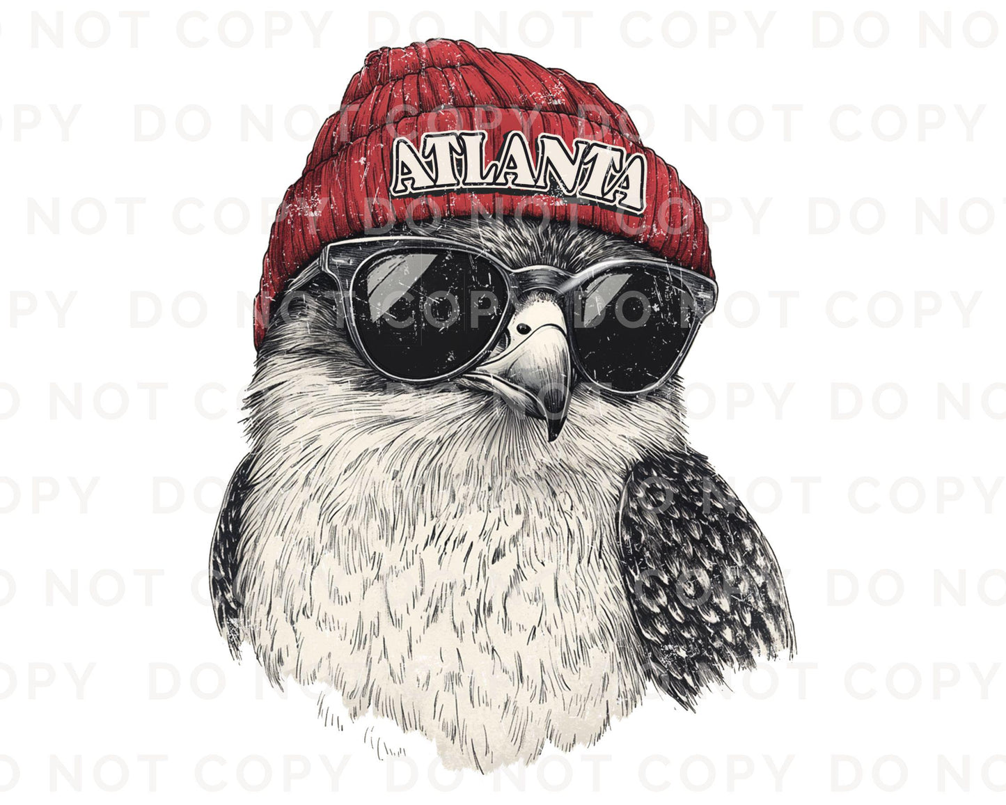 Football DTF Transfers, Ready to Press, T-shirt Transfers, Heat Transfer, Direct to Film, Sports, Sports Fan, Trendy, Atlanta Football