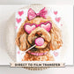 Valentine's Day DTF Transfers, Ready to Press, T-shirt, Custom, Heat Transfer, Direct to Film, Pet Lover, Bow, Paws, Goldendoodle Coquette