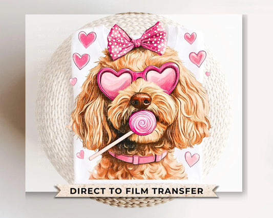 Valentine's Day DTF Transfers, Ready to Press, T-shirt, Custom, Heat Transfer, Direct to Film, Pet Lover, Bow, Paws, Goldendoodle Coquette