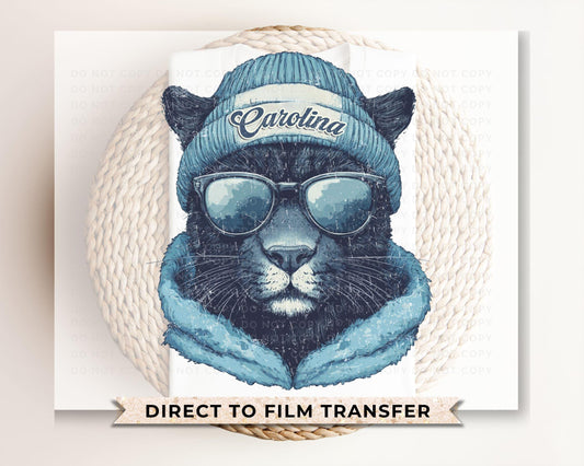 Football DTF Transfers, Ready to Press, T-shirt Transfers, Heat Transfer, Direct to Film, Sports, Sports Fan, Trendy, Carolina Football