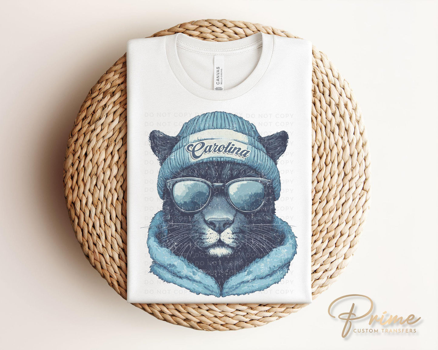 Football DTF Transfers, Ready to Press, T-shirt Transfers, Heat Transfer, Direct to Film, Sports, Sports Fan, Trendy, Carolina Football