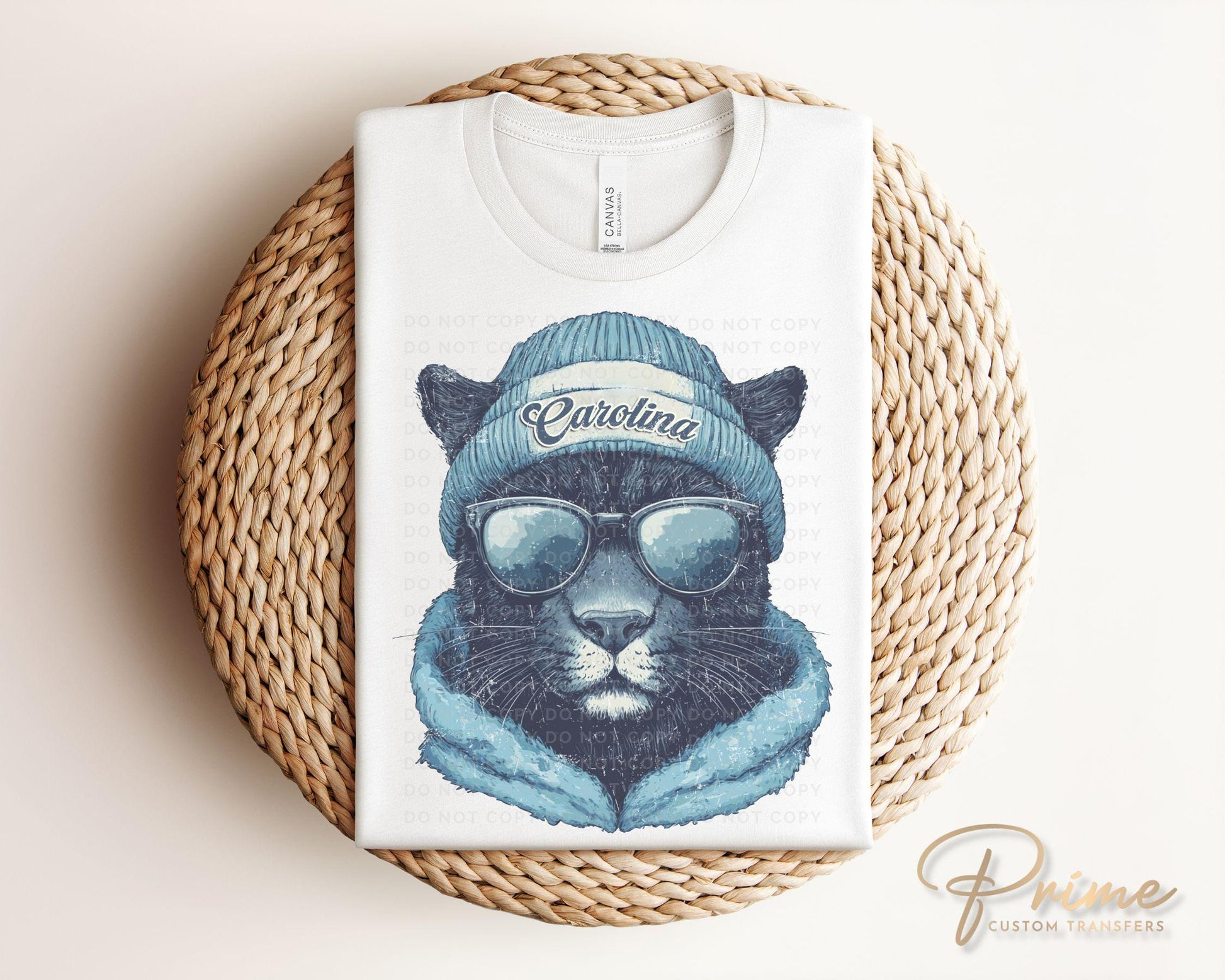 Football DTF Transfers, Ready to Press, T-shirt Transfers, Heat Transfer, Direct to Film, Sports, Sports Fan, Trendy, Carolina Football