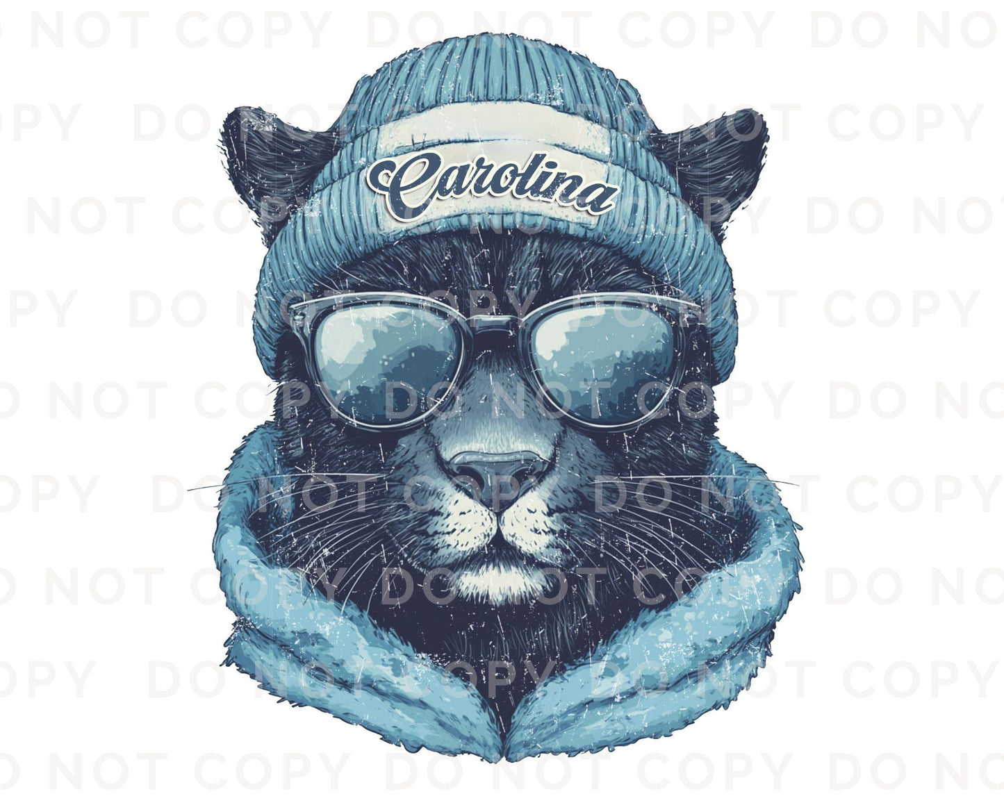 Football DTF Transfers, Ready to Press, T-shirt Transfers, Heat Transfer, Direct to Film, Sports, Sports Fan, Trendy, Carolina Football