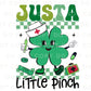 St. Patrick's Day DTF Transfer, Ready to Press, T-shirt Transfers, Heat Transfer, Direct to Film, Nurse, Shamrock, Just a Little Pinch