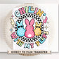 Easter DTF Transfer, Ready to Press, T-shirt Transfer, Heat Transfer, Direct to Film, Pastel, Retro Styled Shirt, Candy, Easter Bunny Rabbit