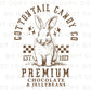 Easter DTF Transfer, Ready to Press, T-shirt Transfer, Heat Transfer, Direct to Film, Holiday, Spring, Bunny Cottontail Candy Company