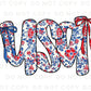 Coquette 4th of July DTF Transfers, Ready to Press, T-shirt Transfers, Heat Transfer, Direct to Film, USA, Ribbon, USA Floral Coquette Bow