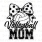 Volleyball DTF Transfers, Ready to Press, T-shirt Transfers, Heat Transfer, Direct to Film, Sports Mom Apparel, Coquette Volleyball Bow