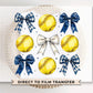 Softball DTF Transfers, Ready to Press, T-shirt Transfers, Heat Transfer, Direct to Film, Sports Mom, Softballs and Blue Bows, Coquette