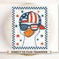 Boy Silly Goose, DTF Transfers, Ready to Press, T-shirt Transfers, Heat Transfer, Direct to Film, 4th of July Kids Patriotic Shirt, Summer