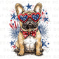 4th of July DTF Transfers, Ready to Press, T-shirt Transfers, Heat Transfer, Direct to Film, Memorial Day, USA, Frenchie, French Bull Dog