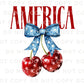 4th of July DTF Transfers, Ready to Press, T-shirt Transfers, Sublimation, Direct to Film, Memorial Day, Coquette Bows, American Cherries
