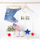 4th of July DTF Transfer, Ready to Press, Sublimation Transfer, Heat Transfer, Direct to Film, Summer, USA, Funny, Patriotic Silly Goose