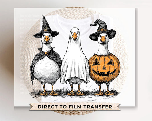 Halloween DTF Transfer, Ready to Press, Transfer, Heat Transfer, Direct to Film, Autumn, Skeleton, Spooky Season, Halloween Ghost Goose