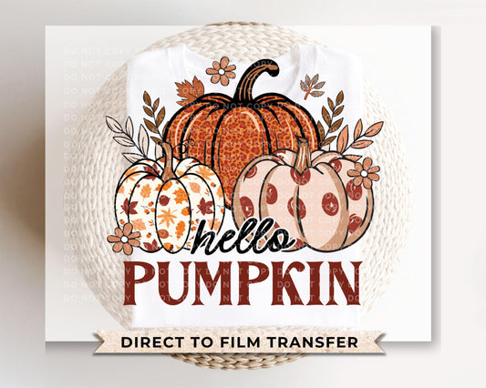 Hello Pumpkin DTF Transfers, Ready to Press, T-shirt Transfers, Heat Transfer, Direct to Film, Trendy, Popular, Boho Floral, Autumn, Fall
