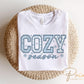 Cozy Season DTF Transfer, Ready to Press, T-shirt Transfer, Heat Transfer, Direct to Film, Cold Peel, Faux Embroidery, Winter, Snowflakes