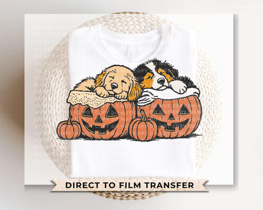 Halloween Puppies DTF Transfers, Ready to Press, T-shirt Transfers, Heat Transfer, Direct to Film, Pet Lover, Dog Mom