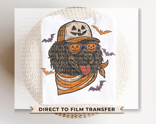 Halloween Boykin Spaniel DTF Transfers, Ready to Press, T-shirt Transfers, Heat Transfer, Direct to Film, Pet Lover, Dog Mom