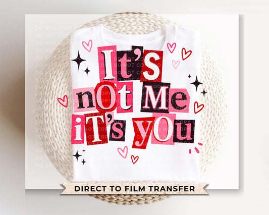 Funny Valentine's Day DTF Transfer | Ready to Press | Direct to Film | It's not Me it's You