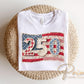 Faux Patchwork USA 250th Anniversary DTF Transfer, 4th of July Tshirt Design